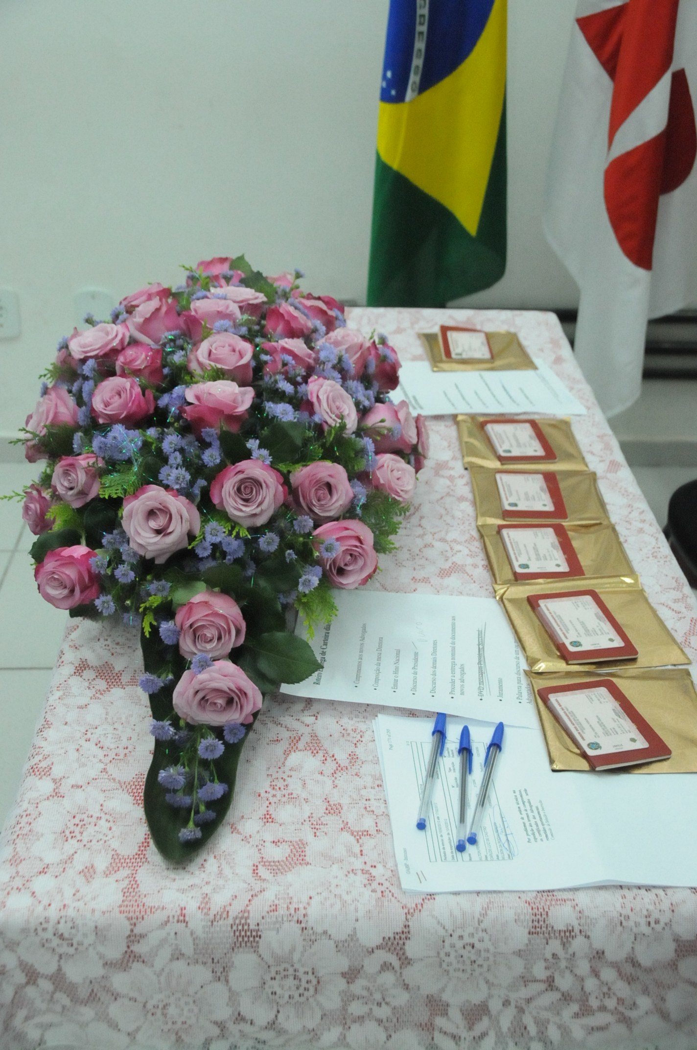 Entrega das Carteiras aos Novos Advogados - Foto 19